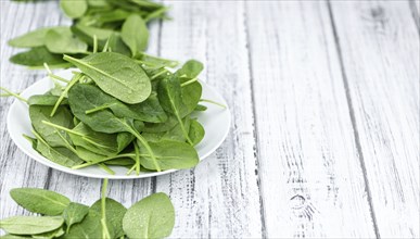 Portion of fresh Spinach as detailed close-up shot (selective focus)