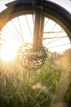 Front wheel of a bicycle in the evening sun in a meadow, e-bike, Black Forest, Gechingen, Germany,