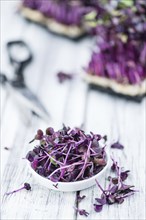 Portion of fresh Cutted Cress (close-up shot, selective focus)