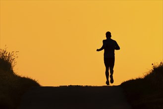 A jogger runs along a country lane near Frankfurt am Main, Frankfurt am Main, Hesse, Germany, in