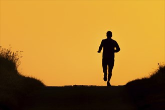 A jogger runs along a country lane near Frankfurt am Main, Frankfurt am Main, Hesse, Germany, in