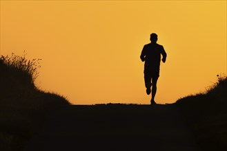 A jogger runs along a country lane near Frankfurt am Main, Frankfurt am Main, Hesse, Germany, in