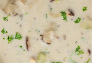 Homemade Porcini Soup on vintage background selective focus, close-up shot