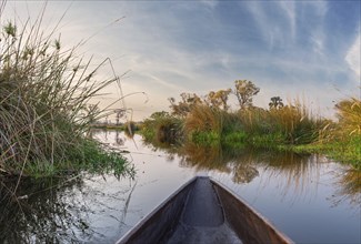 Adventure boat trip in a traditional Makoro at the Okavango Delta, Botswana, Africa