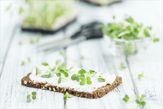 Fresh cutted Cress with creamy Cheese on a slice of bread (selective focus, close-up shot)