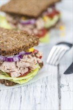 Fresh made Tuna sandwich with wholemeal bread (selective focus, close-up shot)