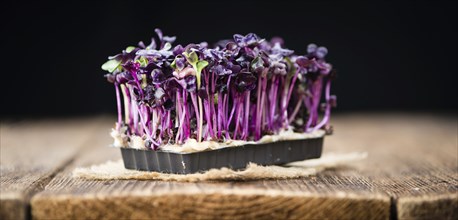 Cress on a vintage background as detailed close-up shot (selective focus)