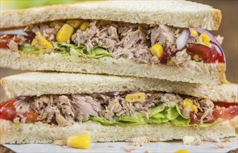 Fresh made Tuna Sandwiches (detailed close-up shot, selective focus)