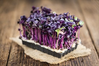 Portion of homemade Cress on wooden background (selective focus, close-up shot)