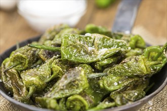 Pimientos de Padron on a vintage background as detailed close-up shot, selective focus