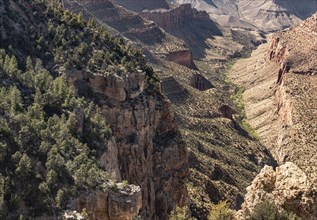 Grand Canyon South Rim in Arizona, USA, North America