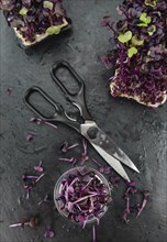 Portion of Fresh cutted Cress on a rustic slate slab (selective focus, close-up shot)