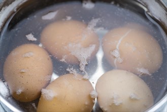 Portion of bolied Eggs (selective focus) as close-up shot