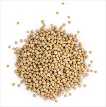 Mustard Seeds isolated on white background (selective focus, close-up shot)