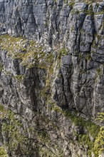 Table Mountain granite Rocks close-up shot (Cape Town, South Africa)