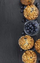 Portion of healthy Blueberry Muffins on a slate slab (selective focus)