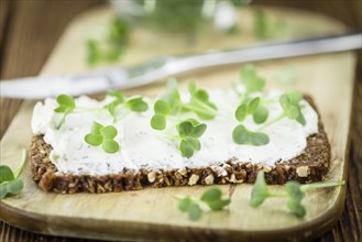 Cream Cheese on a slice of bread topped with fresh Cress (selective focus, close-up shot)