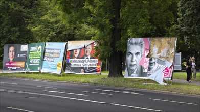 Election posters of the parties Alliance Sahra Wagenknecht, Greens, CDU, SPD and FDP stand on the