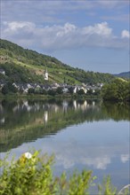 The wine village of Briedel on the Moselle, Cochem-Zell district, Rhineland-Palatinate, Germany,