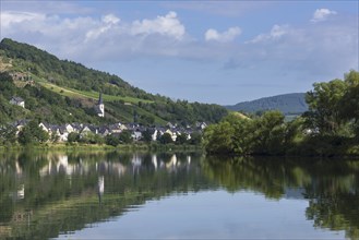 The wine village of Briedel on the Moselle, Cochem-Zell district, Rhineland-Palatinate, Germany,