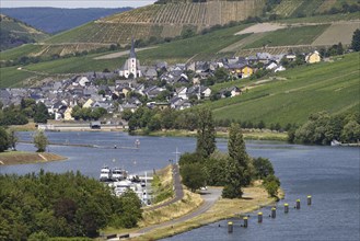 The wine village of Enkirch on the Moselle, Berncastel-Wittlich district, Rhineland-Palatinate,