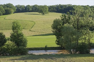 View of the cultural landscape from the Kocher cycle path between Gelbingen and Untermünkheim,