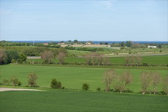 View from Hatbakken Fakkebjerg, Bagenkop, Langeland, Agriculture, Farms, County of Funen, Geopark