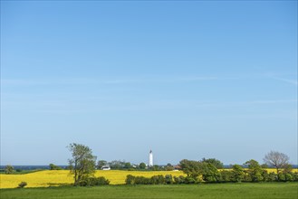 View from Hatbakken Fakkebjerg, Bagenkop, Kelsnor, Langeland, agriculture, rape cultivation,