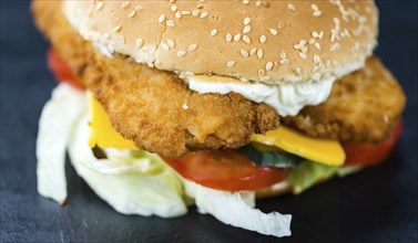 Fish Burger on a slate slab (close-up shot, selective focus)