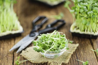 Cutted Cress on a vintage background as detailed close-up shot (selective focus)