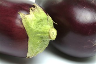 Aubergine, Solanum melongena, egg plant, single ripe fruit, stem base