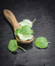 Portion of Balm as detailed close up shot on a slate slab (selective focus)