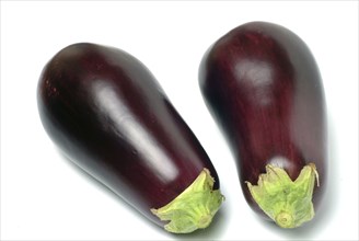 Aubergine, Solanum melongena, egg plant, two single ripe fruits