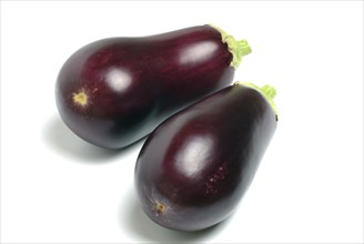 Aubergine, Solanum melongena, egg plant, two single ripe fruits