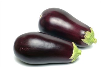 Aubergine, Solanum melongena, egg plant, two single ripe fruits