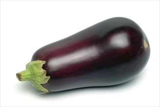 Aubergine, Solanum melongena, egg plant, single ripe fruit