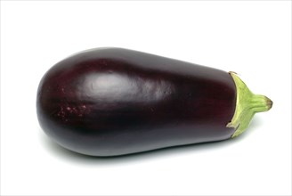 Aubergine, Solanum melongena, egg plant, single ripe fruit