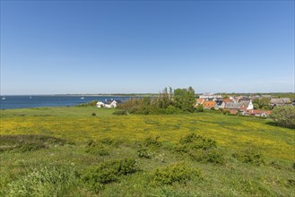 Bagenkop Klinten, Dovne Kliff, view from the cliff over the town, flowering meadow, Langeland