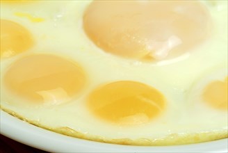 Food, quail eggs, quail egg, Coturnix coturnix, prepared as fried eggs, in the centre a hen's egg