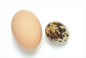 Food, quail eggs, cracked egg of the quail, Coturnix coturnix, compared to a hen's egg