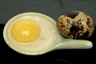 Food, quail eggs, quail egg, yolk and egg white, Coturnix coturnix