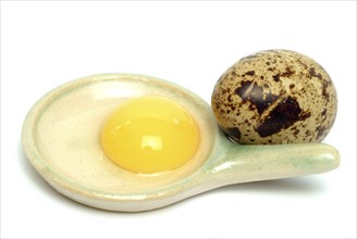 Food, quail eggs, quail egg, yolk and egg white, Coturnix coturnix