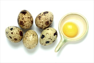 Food, quail eggs, cracked quail egg, Coturnix coturnix