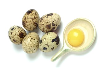 Food, quail eggs, cracked quail egg, Coturnix coturnix