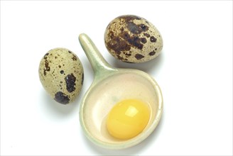 Food, quail eggs, cracked quail egg, Coturnix coturnix