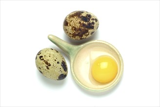 Food, quail eggs, cracked quail egg, Coturnix coturnix