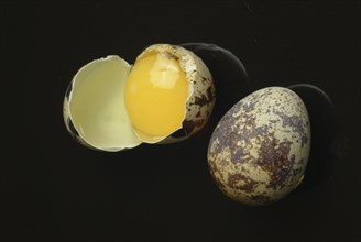 Food, quail eggs, cracked quail egg, Coturnix coturnix