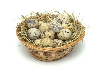 Food, quail eggs, cracked quail egg, Coturnix coturnix