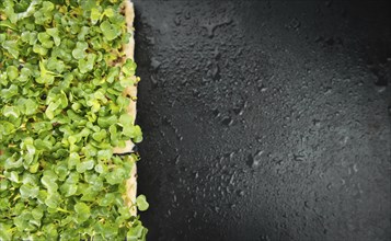 Cress on a vintage background as detailed close-up shot (selective focus)