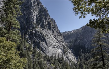 Gorge in Yosemite National Park with a small creek